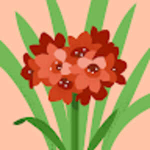 Meet your Posher, Janice